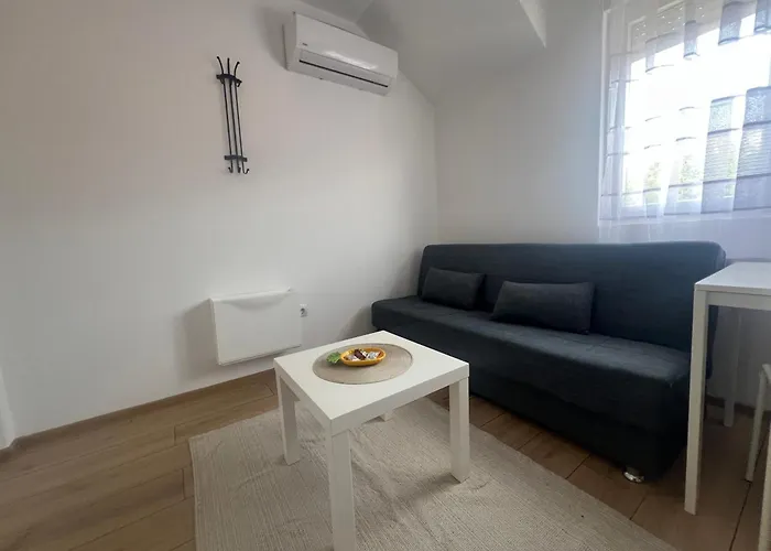 Tesla Centar Free Parking شقة فرانيي